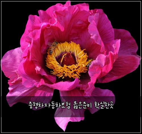 ์คํ์ฐจ์๋์ฐจ๋ณดํ ์ณ์์ค๋น ํ์คํ๊ณณ