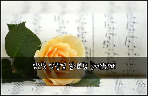 임신중 방광염 실비보험 놓쳐선안돼 