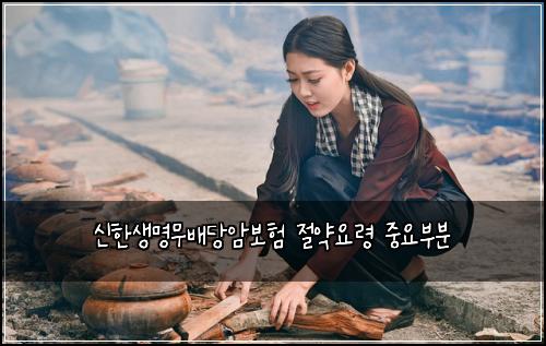 ์ ํ์๋ช
๋ฌด๋ฐฐ๋น์๋ณดํ ์ ์ฝ์๋ น ์ค์๋ถ๋ถ
