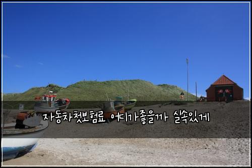 자동차첫보험료 어디가좋을까 실속있게