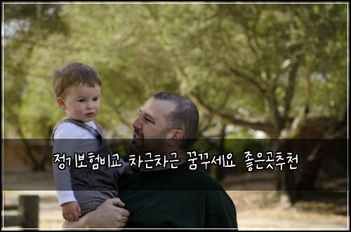 정기보험비교 차근차근 꿈꾸세요 좋은곳추천
