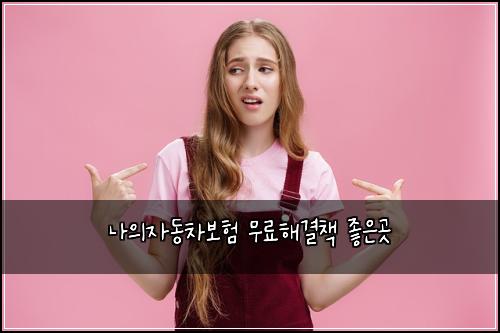 ๋์์๋์ฐจ๋ณดํ ๋ฌด๋ฃํด๊ฒฐ์ฑ
์ข์๊ณณ