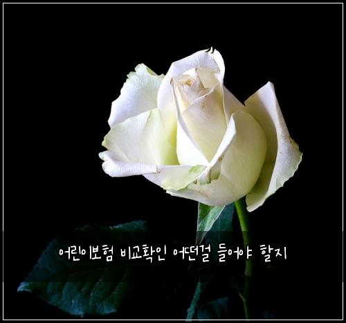 ์ด๋ฆฐ์ด๋ณดํ ๋น๊ตํ์ธ ์ด๋ค๊ฑธ ๋ค์ด์ผ ํ ์ง