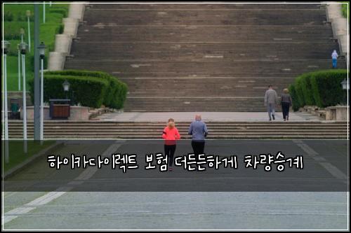하이카다이렉트 보험 더든든하게  차량승계
