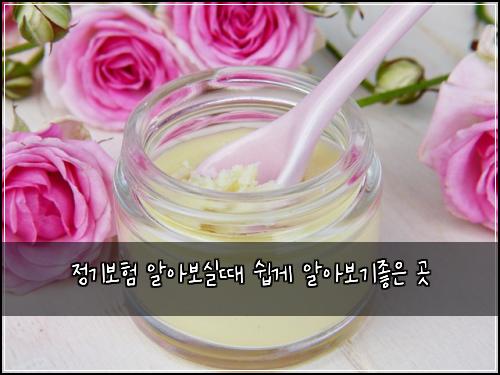 정기보험 알아보실때  쉽게 알아보기좋은 곳
