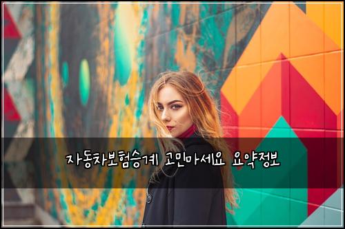 자동차보험승계 고민마세요 요약정보