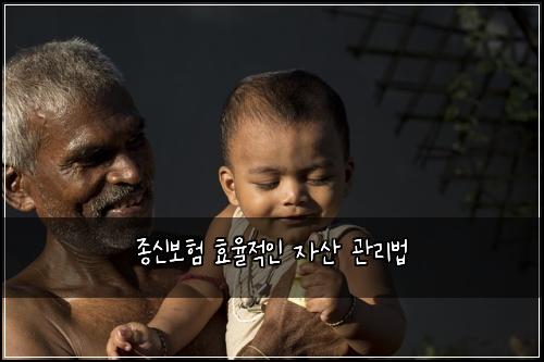 종신보험 효율적인 자산 관리법