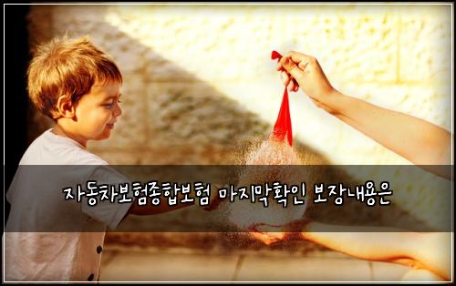 자동차보험종합보험 마지막확인 보장내용은