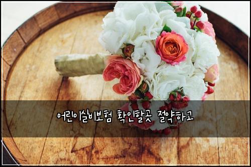 ์ด๋ฆฐ์ด์ค๋น๋ณดํ ํ์ธํ ๊ณณ ์ ์ฝํ๊ณ