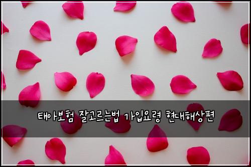 태아보험 잘고르는법  가입요령 현대해상편