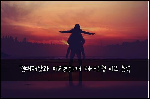 현대해상과 메리츠화재 태아보험 비교 분석