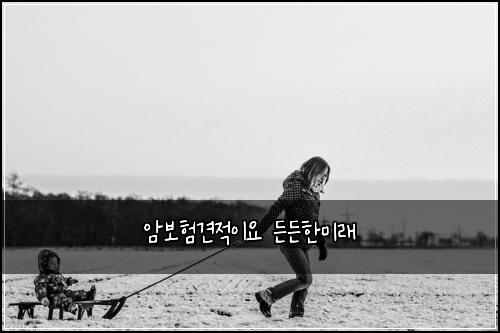 암보험견적이요 든든한미래