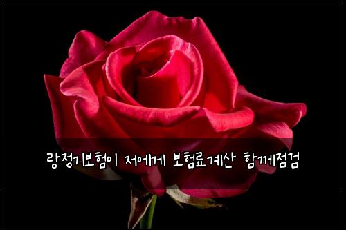 ๋์ ๊ธฐ๋ณดํ์ด ์ ์๊ฒ ๋ณดํ๋ฃ๊ณ์ฐ ํจ๊ป์ ๊ฒ