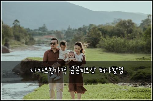 자차보험가격 꼼꼼히보잣 해야할점