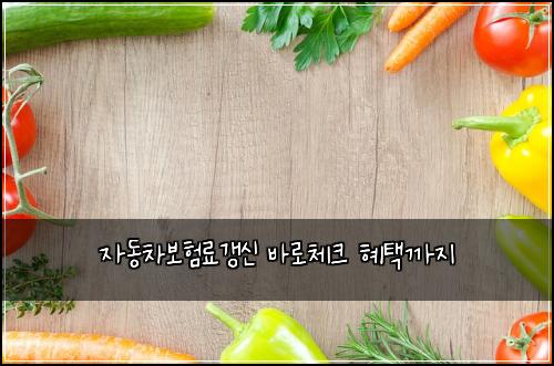 자동차보험료갱신 바로체크 혜택까지