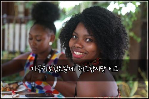 자동차보험요일제 체크합시당 비교