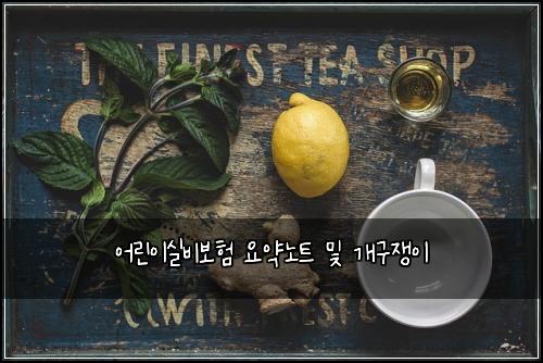 ์ด๋ฆฐ์ด์ค๋น๋ณดํ ์์ฝ๋
ธํธ ๋ฐ ๊ฐ๊ตฌ์์ด