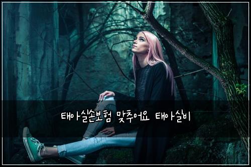 태아실손보험 맞추어요  태아실비