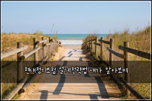 현대정기보험 설계전략법  내가 알아보며