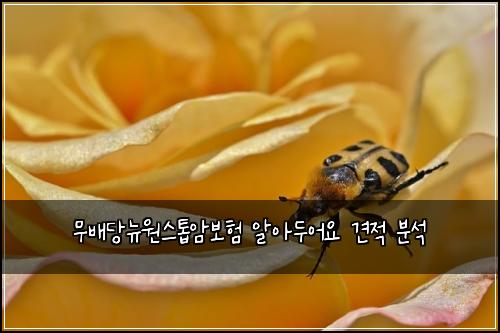 무배당뉴원스톱암보험 알아두어요  견적 분석