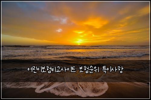 어린이보험비교사이트 보험순위 특이사항