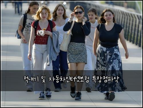 적내기 및 자동차인터넷보험 특장점파악 