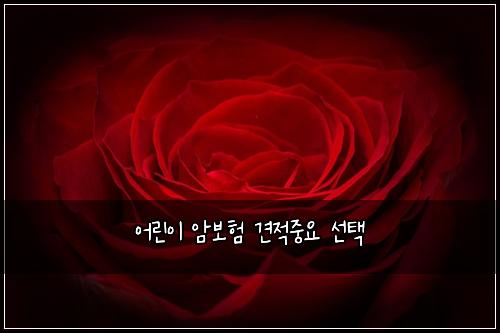 어린이 암보험 견적중요  선택