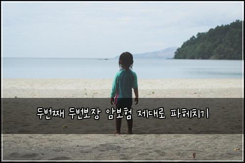 두번째 두번보장 암보험 제대로 파헤치기
