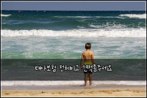 태아보험 전체비교  견적좀주세요