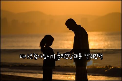 태아보험가입시기 놓치면앙돼용 빨리진행