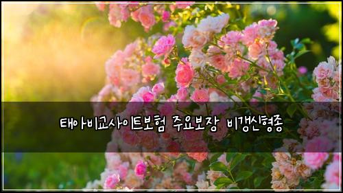 태아비교사이트보험 주요보장  비갱신형종