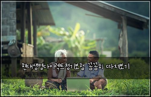 현대생명다이렉트정기보험 꼼꼼히 따져보기