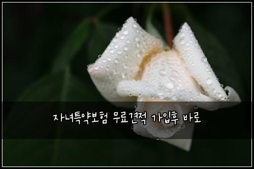 자녀특약보험 무료견적  가입후 바로