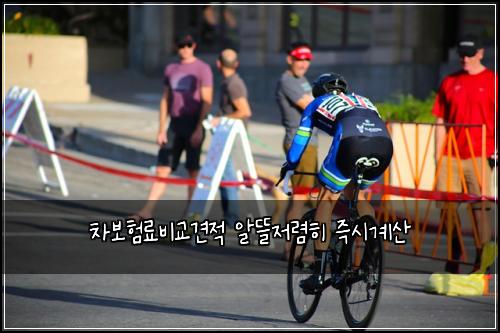 차보험료비교견적 알뜰저렴히 즉시계산