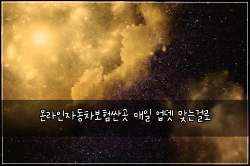 온라인자동차보험싼곳 매일 업뎃 맞는걸로