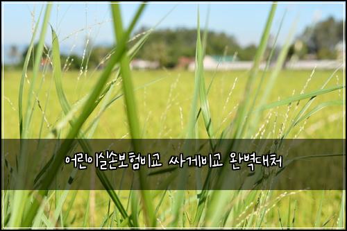 ์ด๋ฆฐ์ด์ค์๋ณดํ๋น๊ต ์ธ๊ฒ๋น๊ต ์๋ฒฝ๋์ฒ