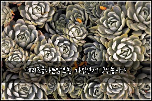 ๋ฉ๋ฆฌ์ธ ์ฌ๋ฐ๋ฅธ์๋ณดํ ๊ฐ์
์ธ์ ๊ณ ๋ฏผ๋ฉ๋๋ค