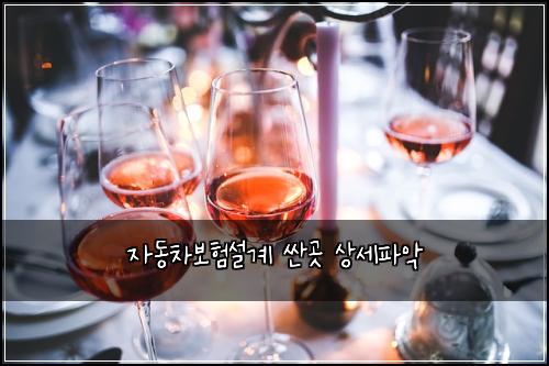 자동차보험설계 싼곳 상세파악