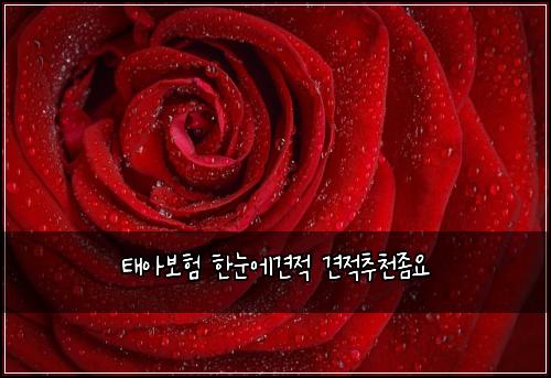 ํ์๋ณดํ ํ๋์๊ฒฌ์ ๊ฒฌ์ ์ถ์ฒ์ข์