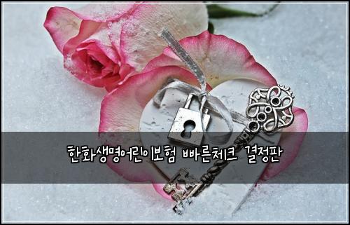 한화생명어린이보험 빠른체크  결정판