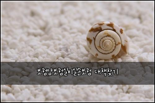 보험암보험실비실손보험 대책찾기