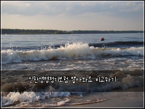 신한생명정기보험 뽑아봐요  비교하기