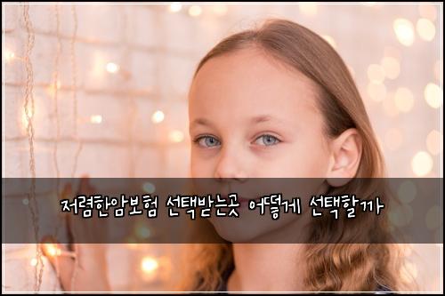 저렴한암보험 선택받는곳  어떻게 선택할까