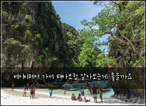 베이비페어 가서 태아보험 알아보는게 좋을까요