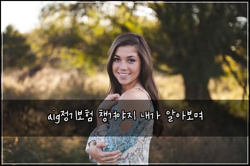 aig정기보험 챙겨야지  내가 알아보며