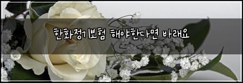 한화정기보험 해야한다면  바래요