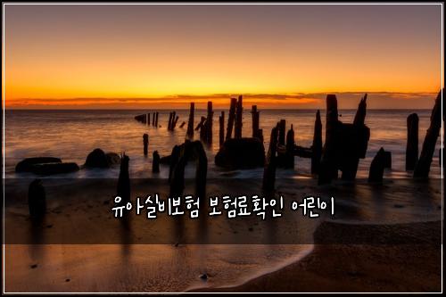유아실비보험 보험료확인  어린이