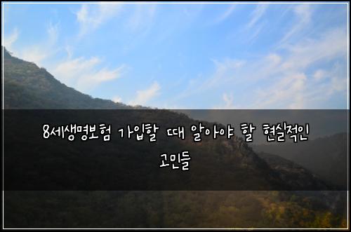 8세생명보험 가입할 때 알아야 할 현실적인 고민들