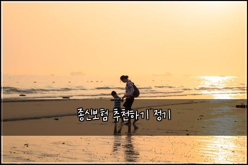 ์ข
์ ๋ณดํ ์ถ์ฒํ๊ธฐ ์ ๊ธฐ