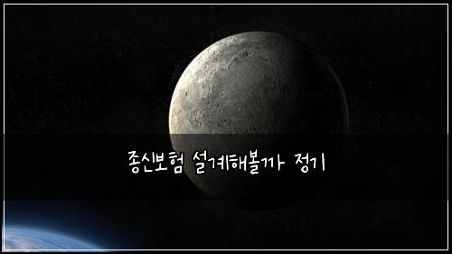 종신보험 설계해볼까  정기 